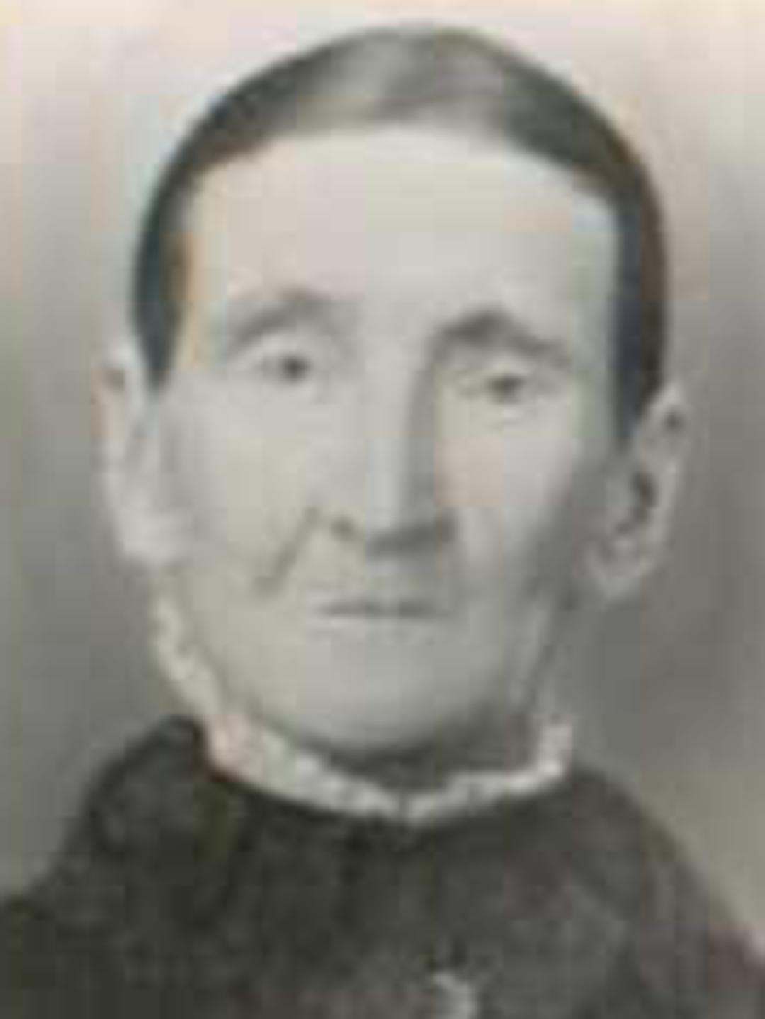 Phoebe Adams (1811 - 1897) Profile